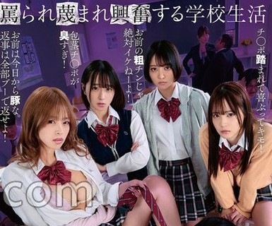 骑兵破解HSODA-127 骂られ蔑まれ兴奋する学校生活 粗チンを贬しながらも何度だってヌいてくれて勃起させてくれる骂倒学级。