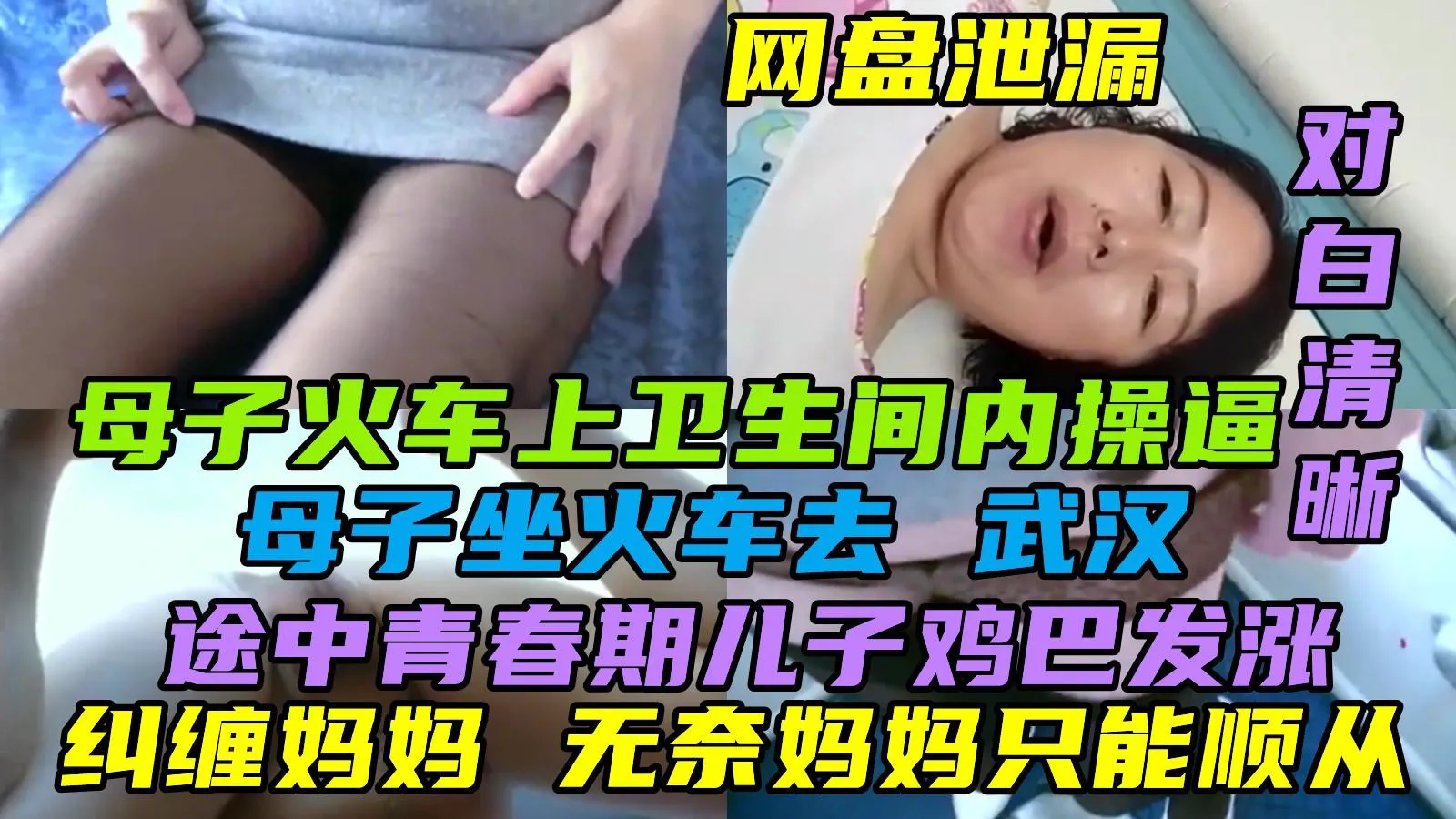 【网盘泄露】母子火车上卫生间操逼，对白淫荡清晰，母子坐火车去武汉，途中青春期儿子鸡巴发张纠缠妈妈，无奈妈妈只好顺从